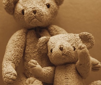 Close-up of two teddy bears